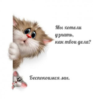 IMG-b98ab02b9662f2f8987700f8dafbba80-V