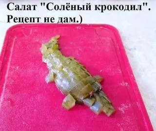 verdieva1009-___CYEFrGYM5xi___-