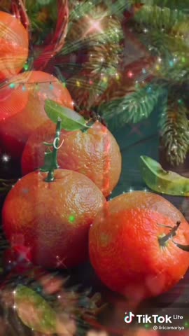 9e12b22e9ce875a36076b248d8b23904