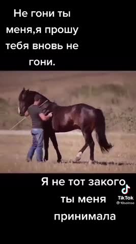 c66fdbcb1c6642c822f9991cfad0d884