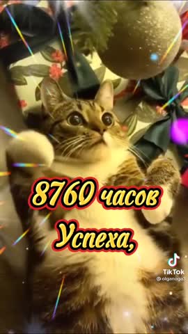 293864149ff8336a518012e77d45fc4e