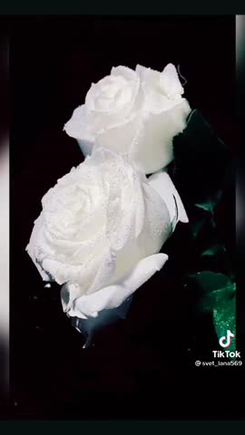 -Романтика-