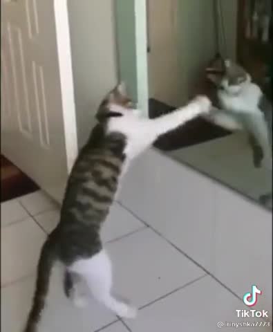 d953e178892c4a7eb607dfb8e5e887f4