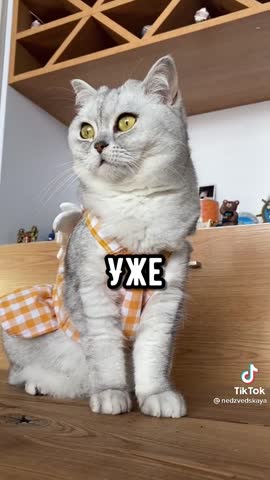 333758f31064fa05147a15b73ced3ea6