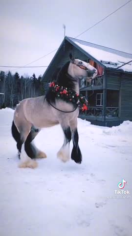 9fbd070b5348c47cdcb4719574af52f4