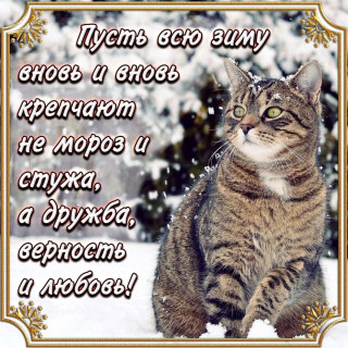 yeReh8aS-7o