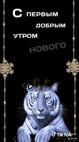 14353db2c2d7f274093a39cdfe612dc4