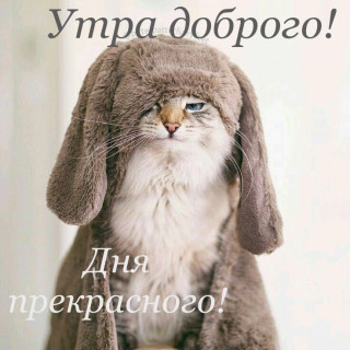 uwZQzR_MBDc