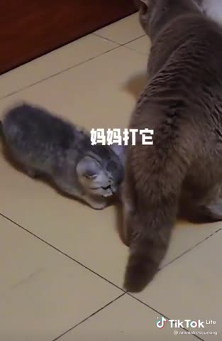 1a26cf44164d1a9818732d8106f93a75