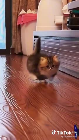 b68c9e400290be51297a7f37bc975857