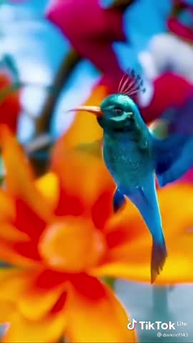 f12ea860f1ffa7812e5ff65ae680ac66