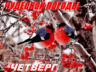 TqbkH4UmlpM