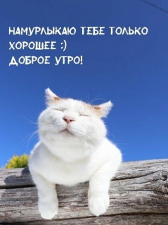 4CKNbrhKnVQ