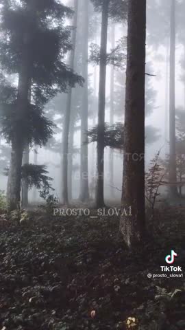 все проходит