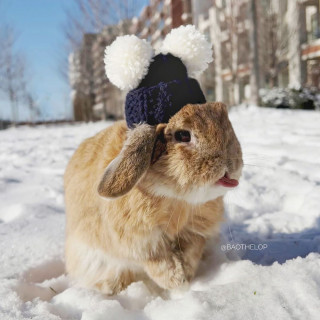 baothelop-___CYT9ckp_O___-