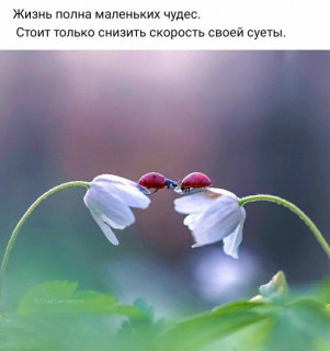 IMG-5d4f0c9aa3dfef6d62f98ba3d8272a1a-V