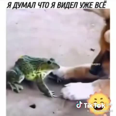 646c403846b82e3c7458b3824339cddb