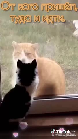 3053619803e11766b77c3e524f63d4d2