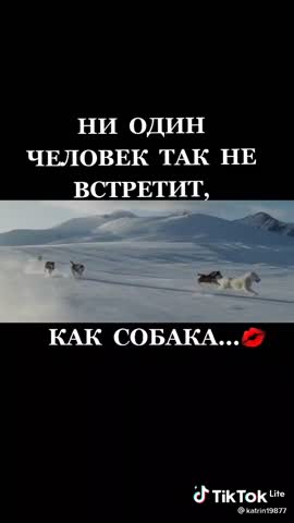 808e0371020fe483b766a2e2d3d19b4b