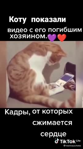 c09faea89462d2fce3463778ff0abb8a