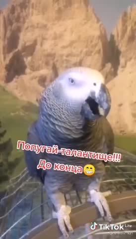 a0f930605d6b3b5bdd1c6bbf41eda019