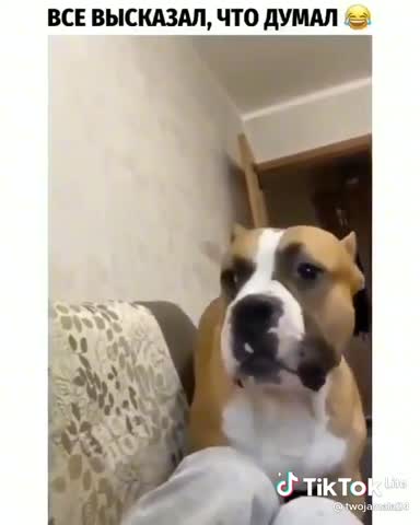 09a1247d371486a0fd86301d597dfd11