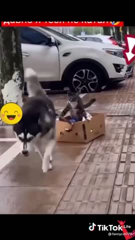 94a2d8e94e9375a6bb4d65ee87e26779