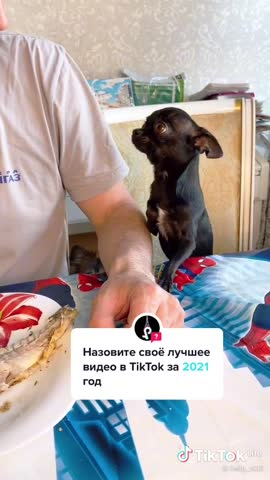 d500c767f1997331ae66906a37632a4d