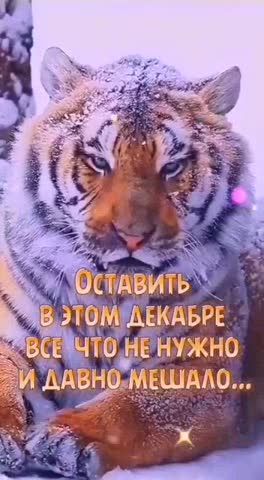 -С-Новым-2022-годом-