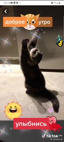 -Доброе-12-01-2022-утро-