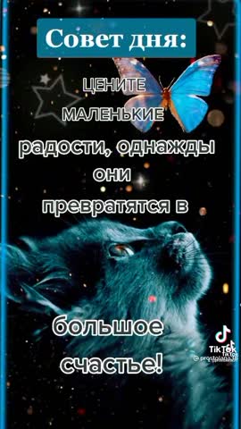 d10c0943acf245e396c47131e59a22ac