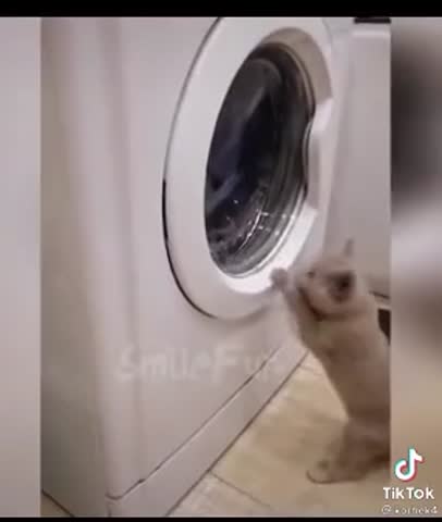 ded1824dd8f1c5c41fd54e7993e058a9