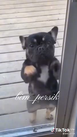 ccf6d510825cb273713228b694fdd7e1