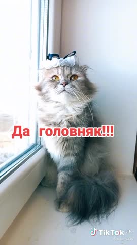 3dd383eff3a3a84c460bdce8bdcda7d8