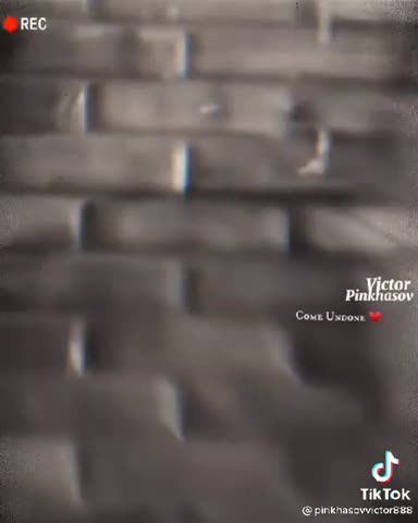 344fcde7272df9c93e870e056e454dfd_480_600