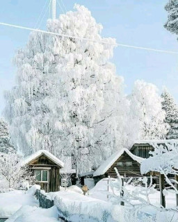 FB_IMG_16427023738811352