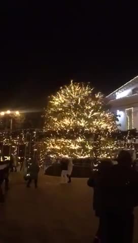Ёлка_в_Мариуполе