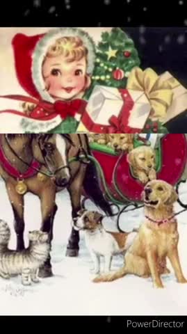 video-707faee97e58755a36aab482b9ce7138-V