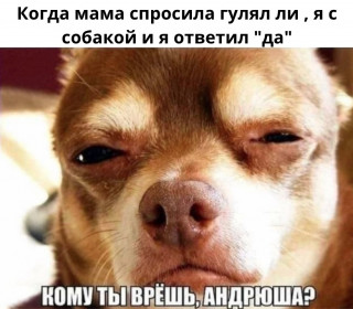 Jhrn_lYMmBU