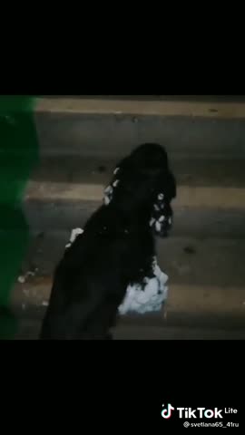 81003875a881ef432e86d97a64bcdb3d