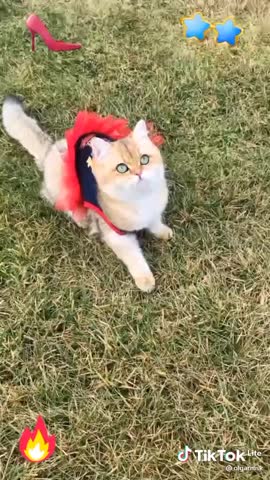 9ff60c447b716d60615de63a11005c19