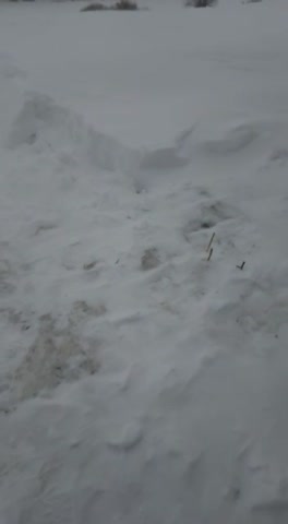 VID-20220113-WA0004