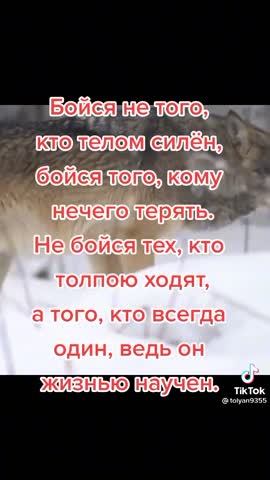 571eabb384943eaeb708fa0658689ec4