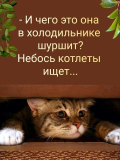FmRDRNdQlbg