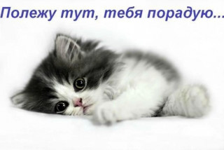 dahG9gwmfL4