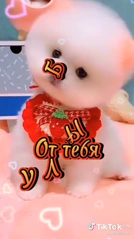 bf46637c685e7c380651ccfe6d67b328