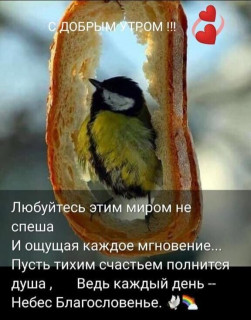 IMG-b48afe2bf46e79e8cb28180c8aedbdf3-V