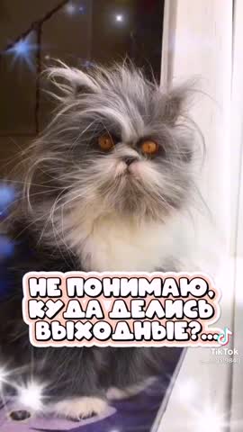 b62cbedaff1100873b5d95ecbd47dd55