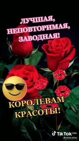 88f71f0283b8b17aa4a81719296e941e