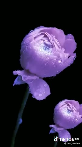 92945caddeb6b6ba2f8f18f8b8bbde83